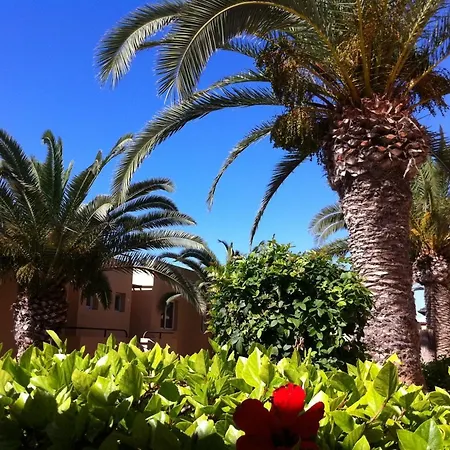 Apartment Dunes Hibiscus With Pool